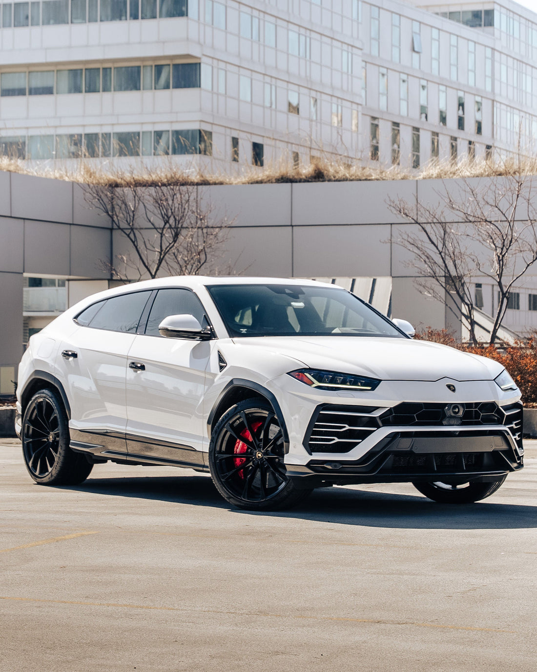 Lamborghini Urus (White)