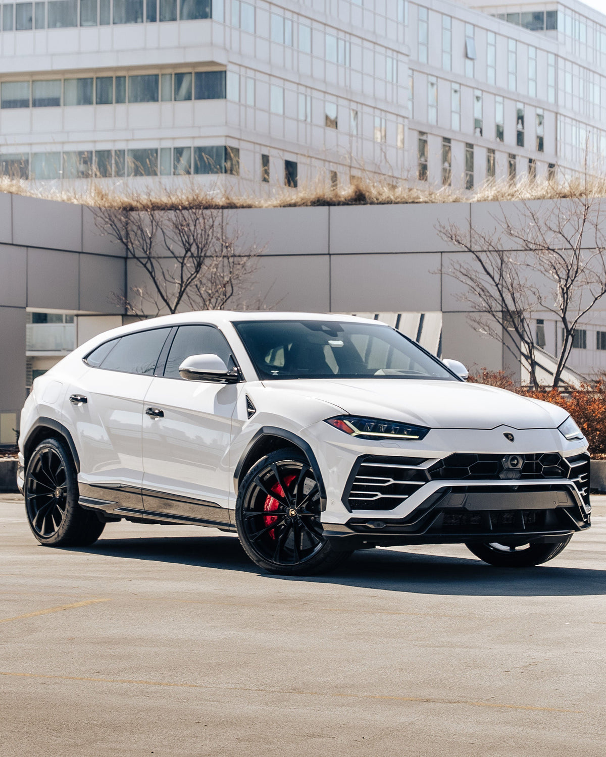 Lamborghini Urus (White)