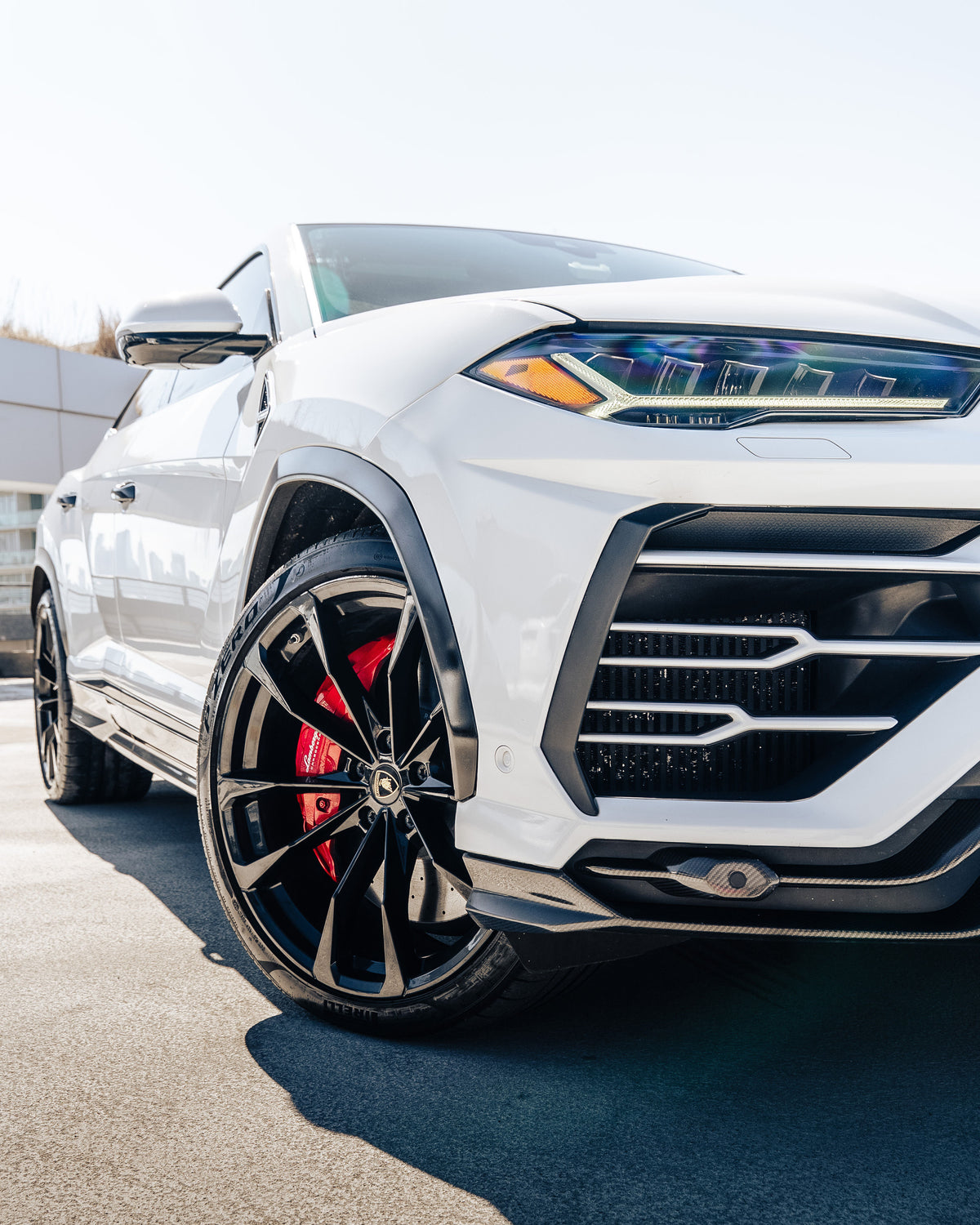 Lamborghini Urus (White)