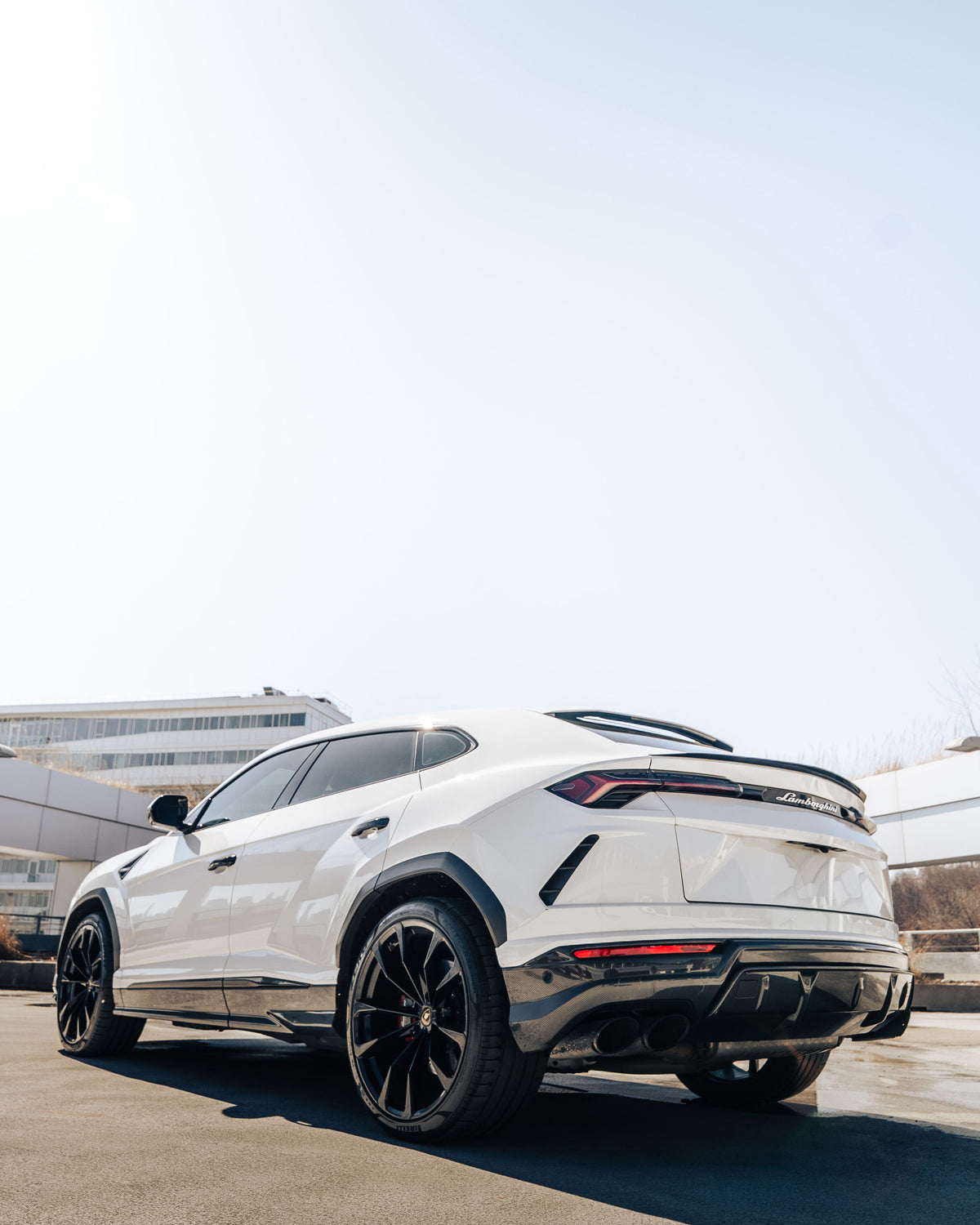Lamborghini Urus (White)