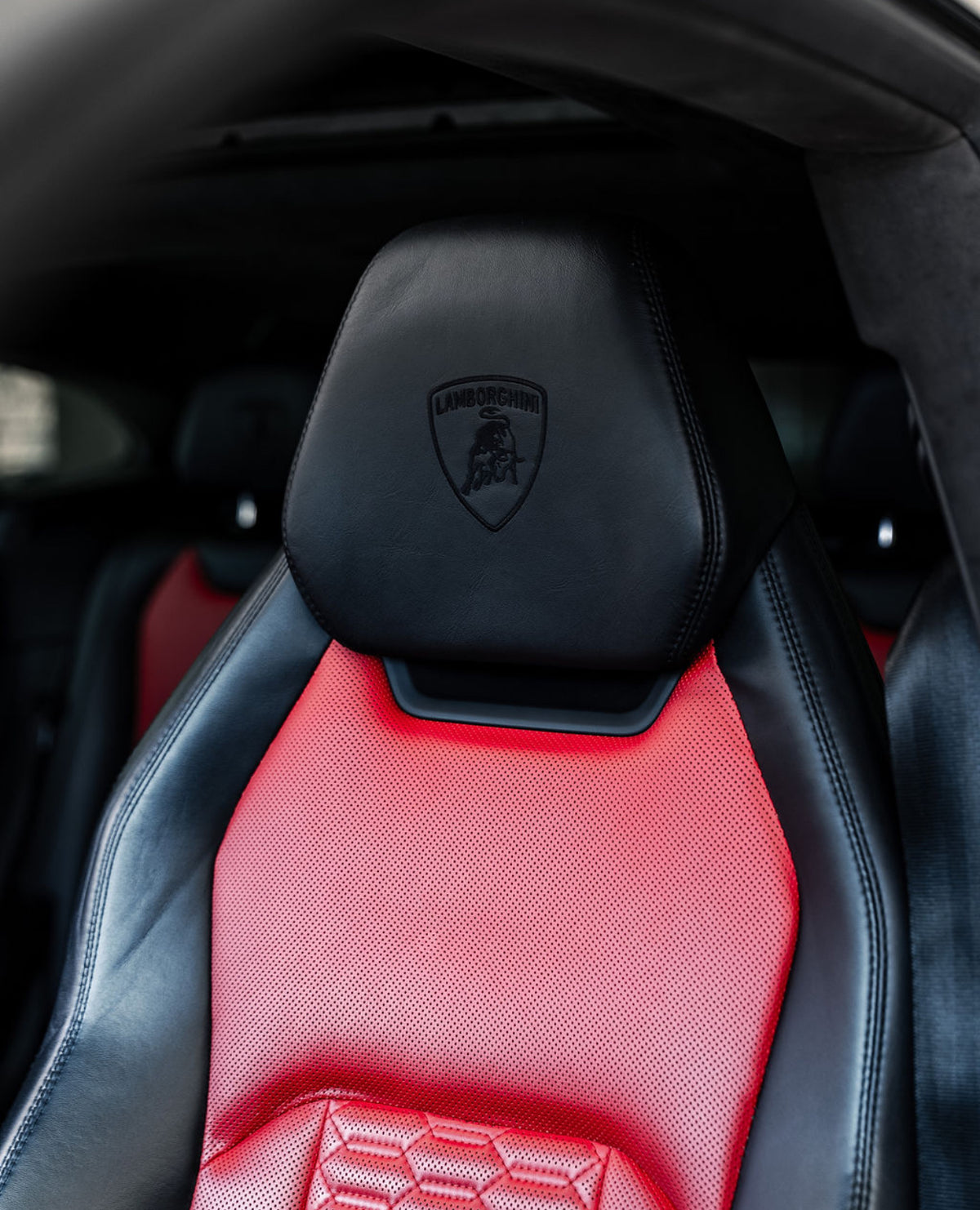 Lamborghini Urus (White)