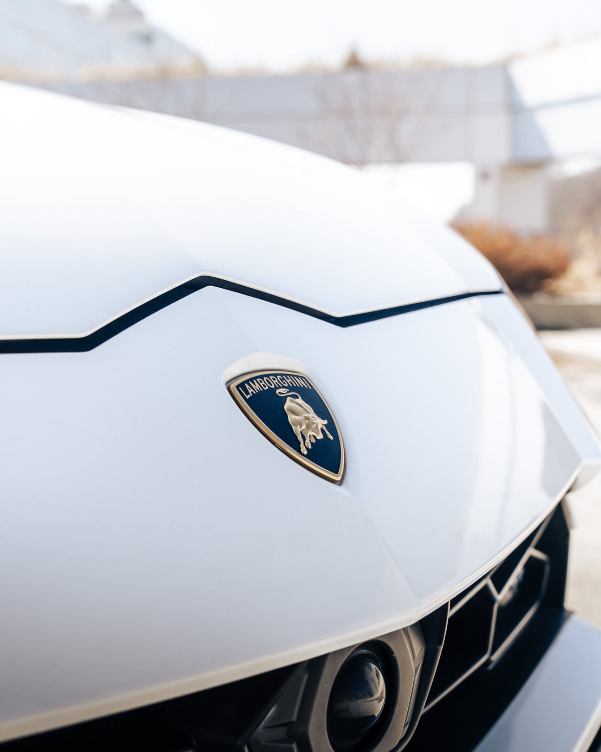Lamborghini Urus (White)