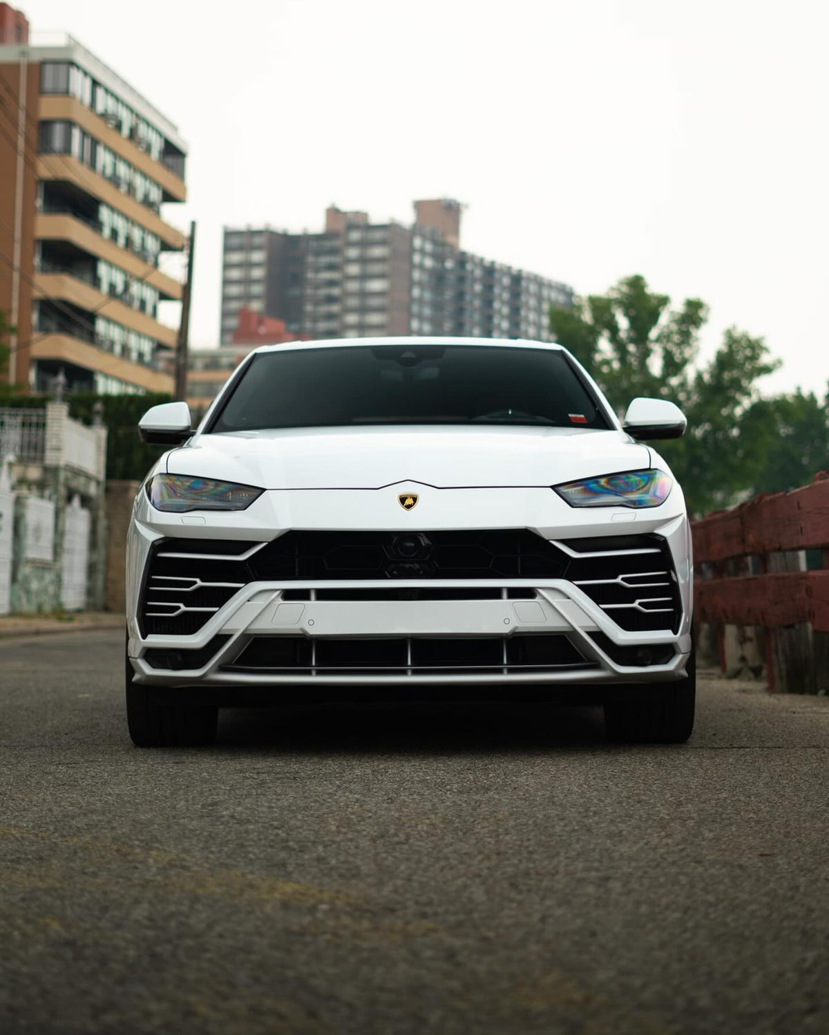 Lamborghini Urus (White)